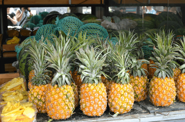 ananas comosus plantes culture excellence plante fruit pot prix fleurs couronne terreau plant soleil quantité vitamine c cours soleil santé conseils source